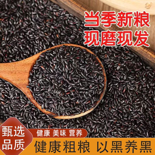 新米东北农家新黑米有机无染色无防腐剂黑大米黑米粥农家健康粗粮