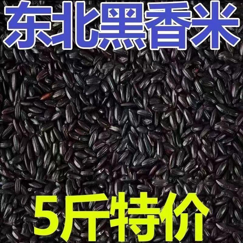【5斤大降价】东北新黑米黑糯米黑米粥原料黑大米农家无染色米1斤