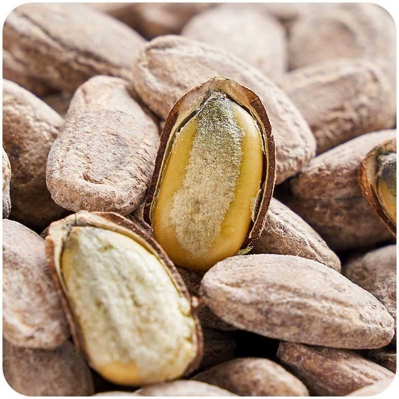 正品新货大颗粒吊瓜子奶油味椒盐味瓜子袋装散装休闲零食非瓜蒌子