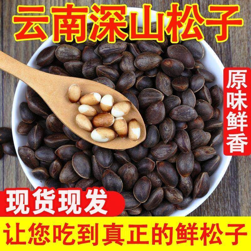 2024云南新鲜生松子松子批发野生薄壳湿松子不开口原味坚果闲零食