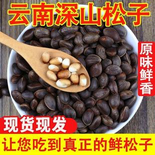 2024云南新鲜生松子松子批发野生薄壳湿松子不开口原味坚果闲零食