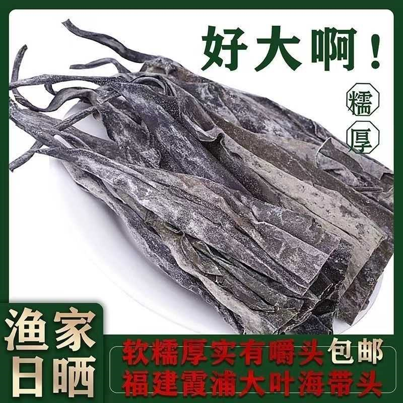 特厚海带头纯天然巨厚长海带头干货软糯加厚宽头超厚海带根批发价