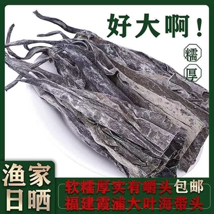 特厚海带头纯天然巨厚长海带头干货软糯加厚宽头超厚海带根批发价