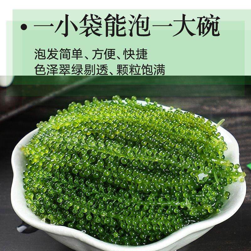 海葡萄250g新鲜即食可吃儿童盐渍海带蔬菜绿色鱼子酱海藻菜送芥末