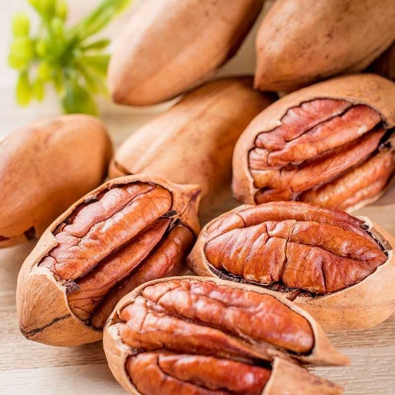 新货碧根果2斤批发价奶油味大颗粒长寿果坚果零食袋装净重250g