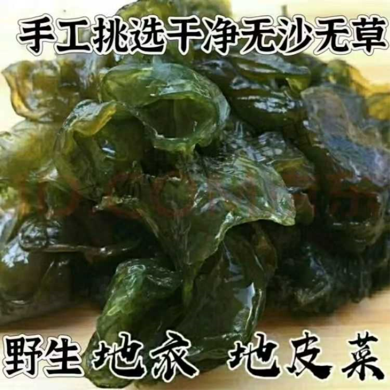 七A级免洗】地皮菜特级纯天然新鲜野生干货地软地达菜地耳菌煲汤