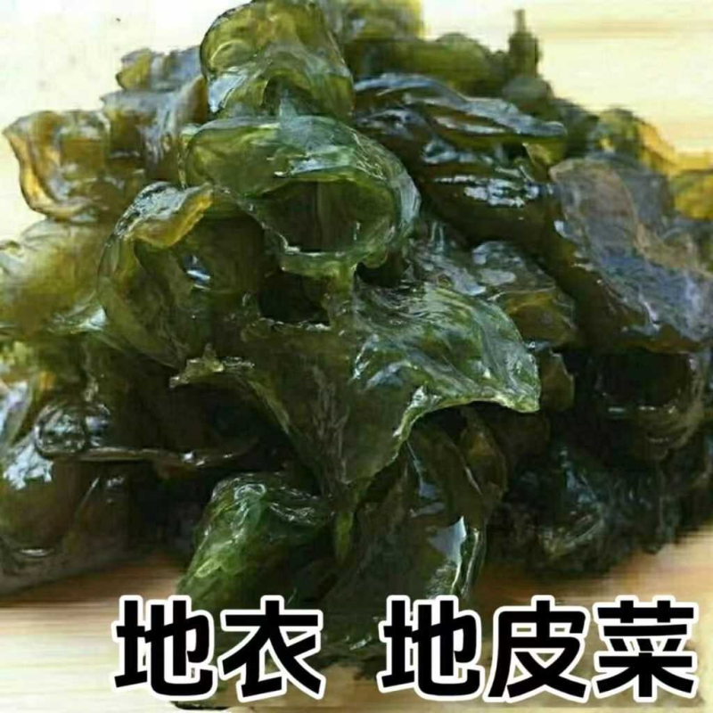 地皮菜野生地软非免洗干净无沙无杂雷公菜地达菜地木耳山野菜干货
