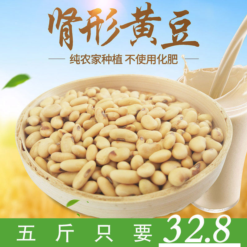 23年陕北农家小黄豆豆浆肾形小黄豆农家自产发豆芽黄豆老品种黄豆