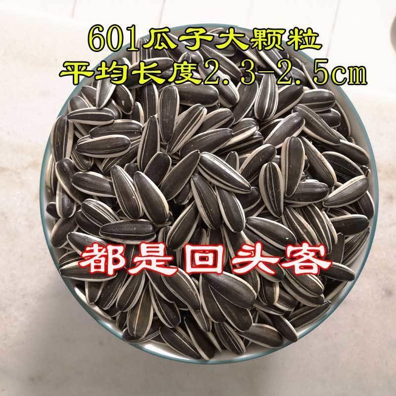 2024新疆大颗粒瓜子新鲜饱满葵花籽香脆原味生瓜子批发新货向日葵