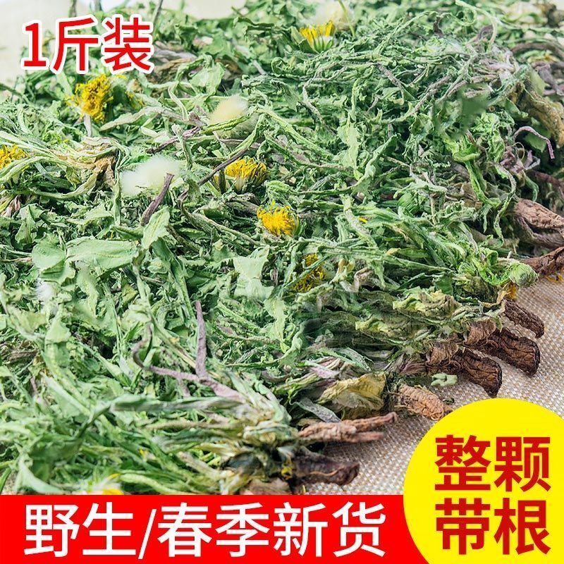 野生蒲公英干纯草带根叶纯天然野生花茶新鲜整颗婆婆丁