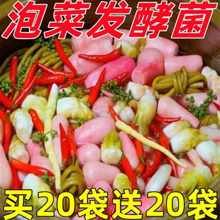 泡菜发酵菌家用乳酸菌发酵粉自制韩式辣白菜咸菜酵母四川风味蔬菜