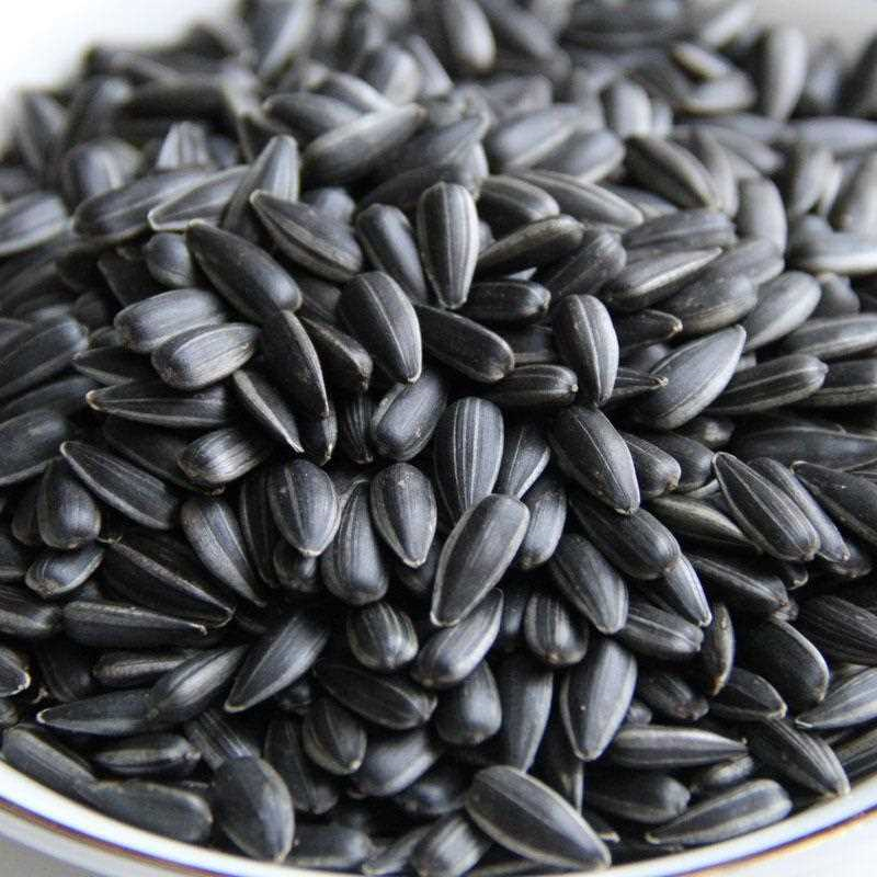 黑珍珠油葵1斤油葵瓜子年货半斤3斤小瓜子炒熟原味奶油薄盐生油葵