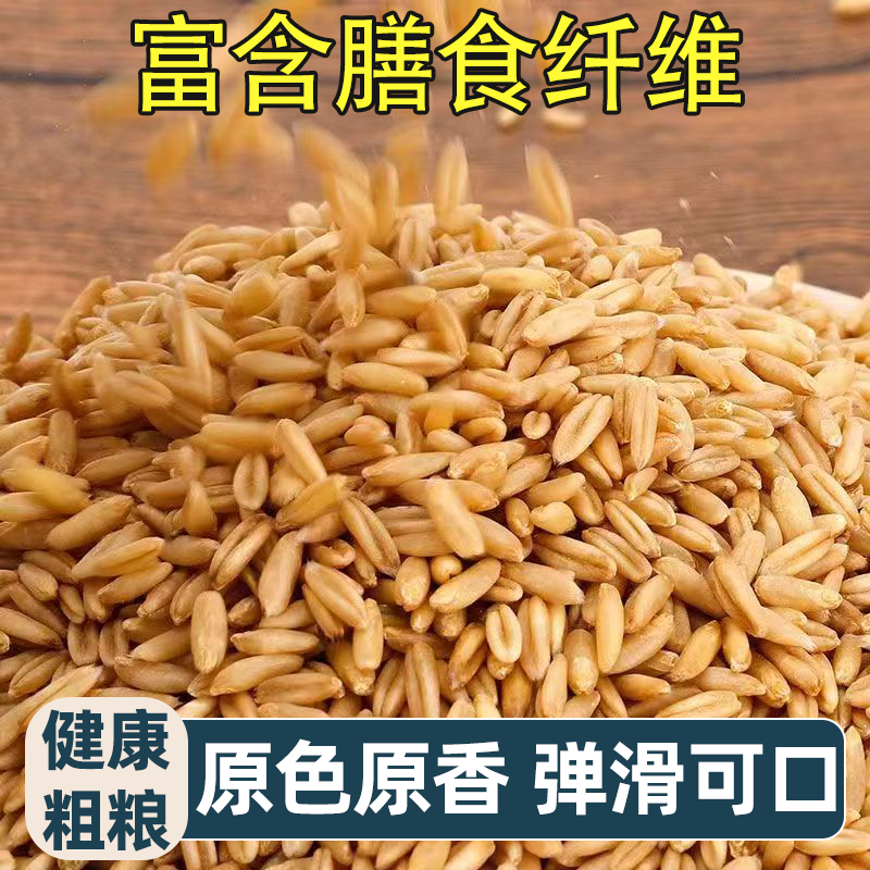 新鲜燕麦米健康粗粮燕麦仁燕麦去壳老少皆宜富含膳食纤维杂粮早餐