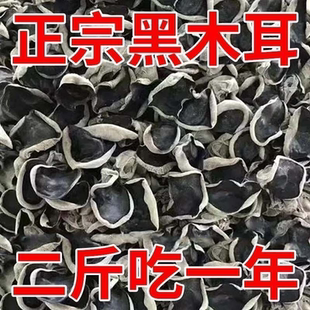 东北正宗野生特产包邮黑木耳耳肉农家土特产特级小碗无根干货