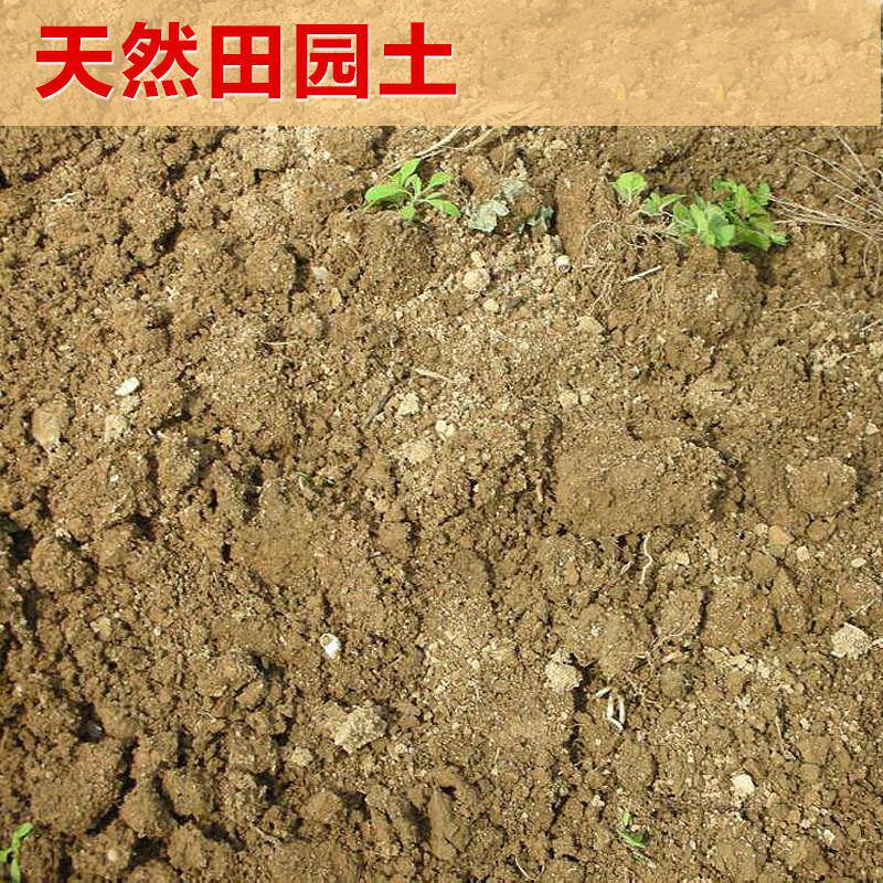 极速田园土菜园土有机土种菜种花种树土无虫通用土普通泥土沙土酸