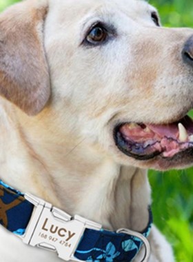 Dog Collar Name ID Pet Tags Puppy Cat Nameplate ID Collars