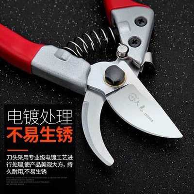 久克园林园艺剪刀果树剪刀园丁剪花枝修剪树枝果枝剪刀修花剪刀J