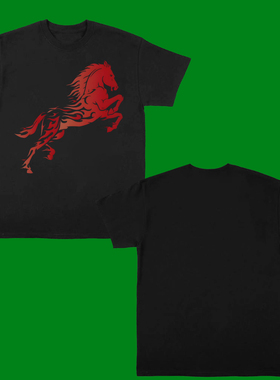CHINESE NEW YEAR FIRE HORSE T-SHIRT2026新款宽松本命年马生肖