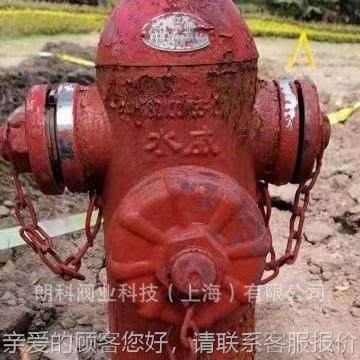 水消威防—室外地上消火SS100栓SS100/65-.6 DN100地上1栓