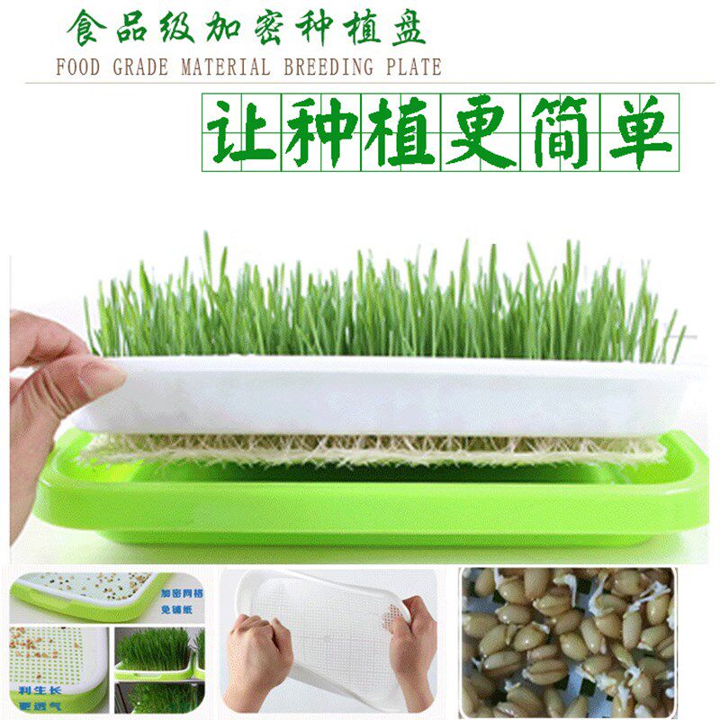 速发发豆芽菜育苗盘芽苗菜小麦苗种植盘保温带盖种蒜豌豆苗盆栽托