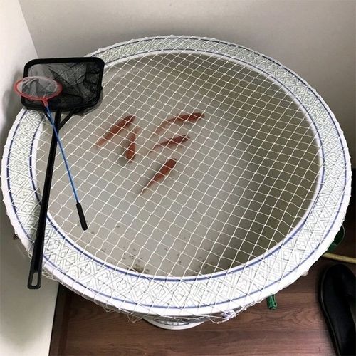 快速发货鱼缸防逃网防金鱼跳网罩防猫抓隔离网乌T龟缸防越狱圆形