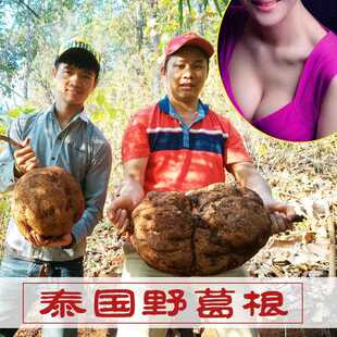 纯泰国野葛根粉白高颗石丰葛女性保养可配青木瓜粉