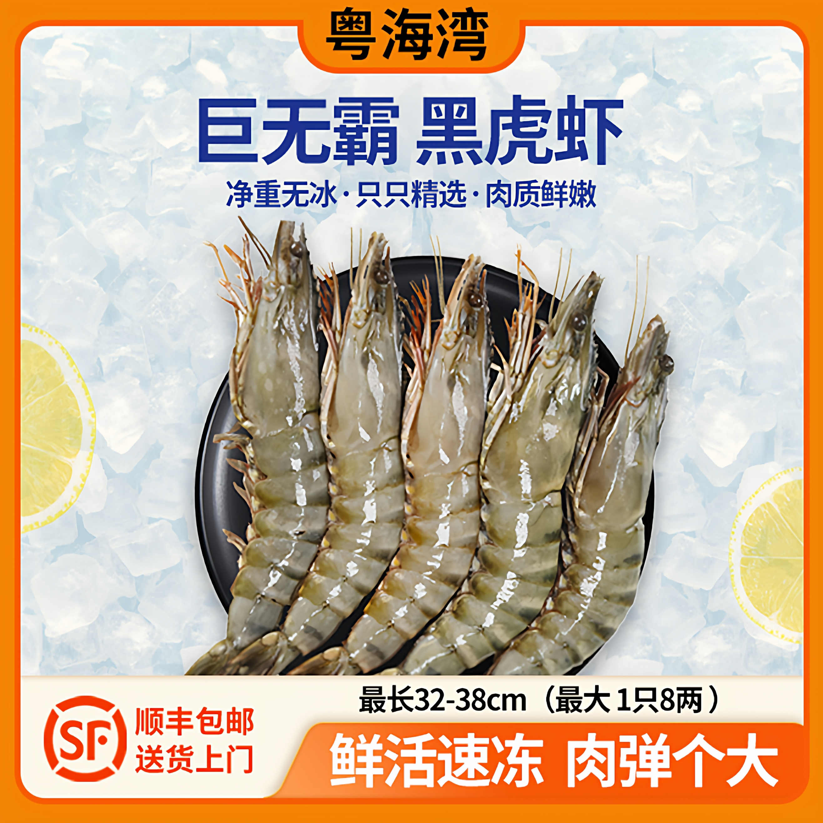原装进口巨型黑虎虾超大号老虎虾特大虾鲜活速冻海鲜国庆年货送礼