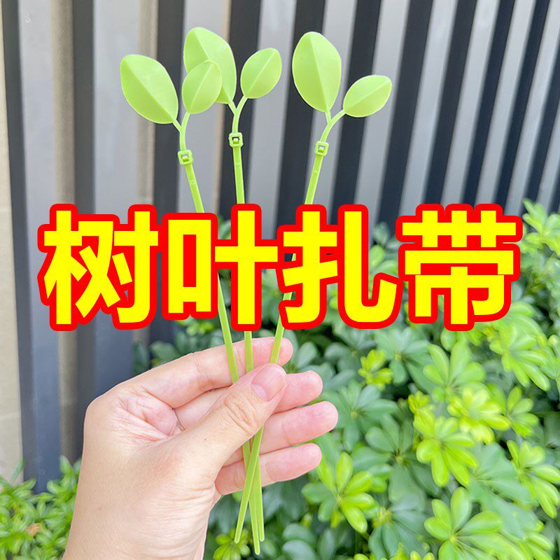 速发树叶扎带园艺束带树枝固定绿植绑带植物绑花艺术造型绿色绑扎