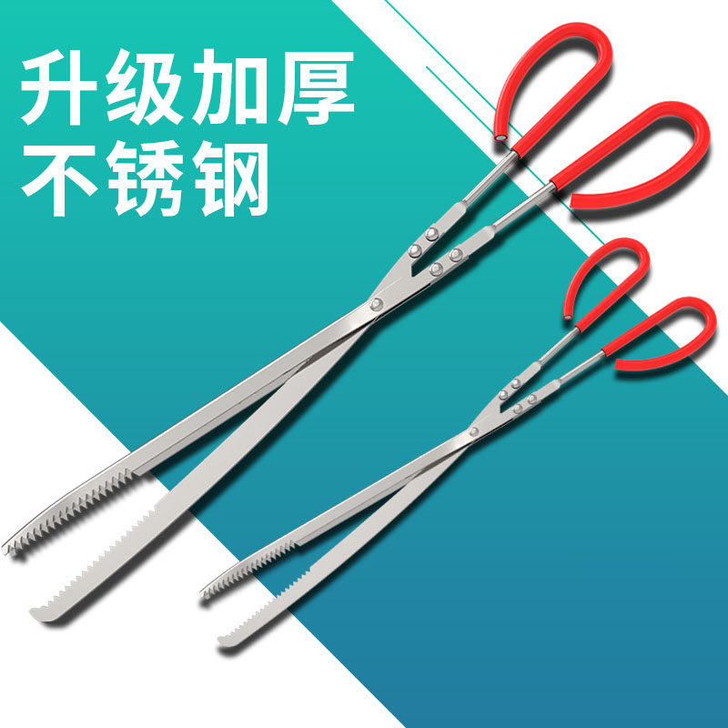速发捕泥抓黄鳝夹鳝鱼蟹子不锈钢钳子防滑赶海神器鳅螃夹龙虾工具