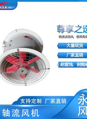 厂家直销工业BSTF轴流防爆玻璃钢管道式轴流风机壁式防爆轴流风机