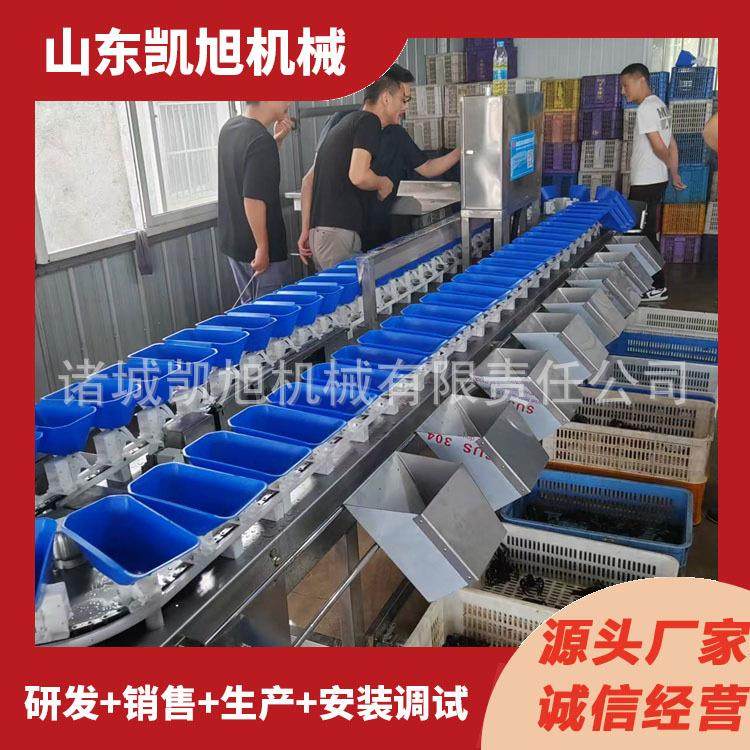 凯旭重量分选机青蛙牛蛙自动重量检测分级机螃蟹甲鱼多级分拣机,五金/工具,其他包装设备,淘宝优惠券,粉丝福利购,淘宝优惠卷