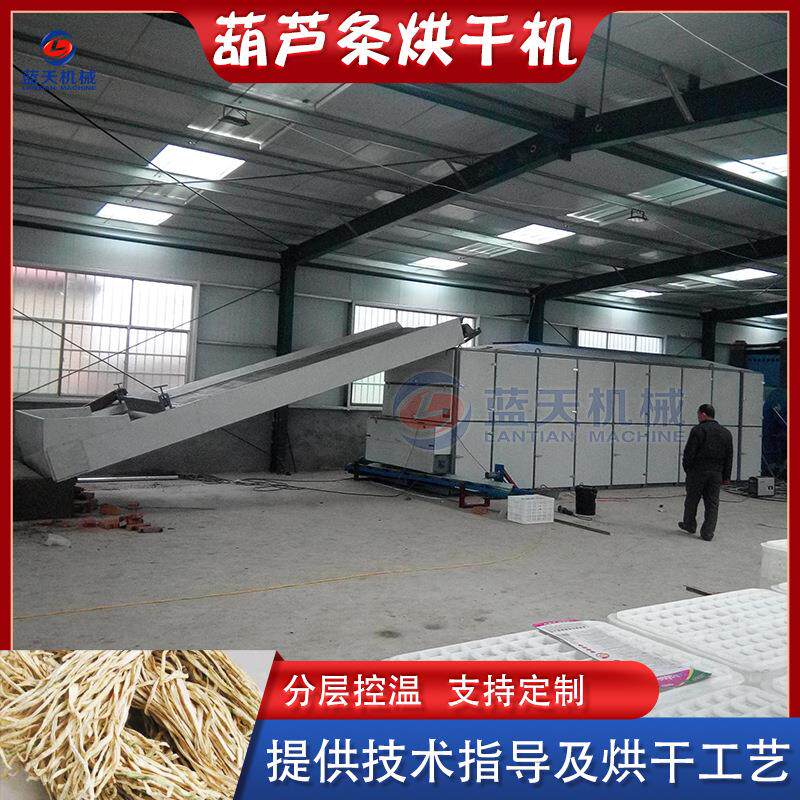 网带葫芦丝烘干设备 全自动瓠瓜角瓜切丝烘干生产线 葫芦条烘干机