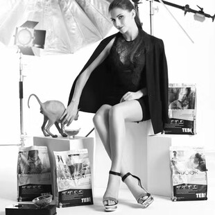 汤恩贝TEB!C5无毛猫斯芬克斯适口猫粮控油型减少油脂分泌护肤低油