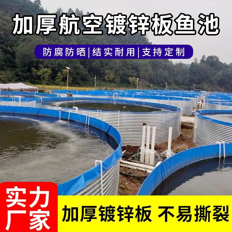蓄水池农用大型帆布家用新游泳池室外高密度养殖池镀锌板帆布鱼池