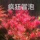 斯星特rgb全光谱水草led防水照明灯鱼草发色增艳红鱼不红水鱼缸灯