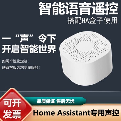 Home Assistant专用声控 HA声控器 智能家居语音控制器全屋联动
