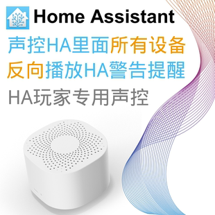 Home Assistant 声控器 HA盒子声控器 Home Assistant万能声控