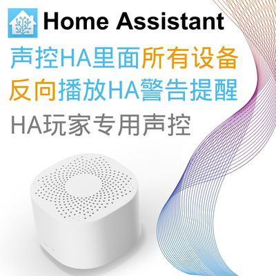 Home Assistant 声控器 HA盒子声控器 Home Assistant万能声控