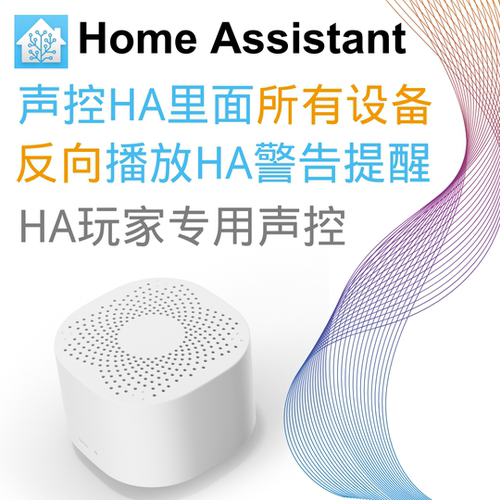 Home Assistant 声控器 HA盒子声控器 Home Assistant万能声控