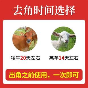 牛羊去角膏100g可用60 80头去牛角膏牛羊养殖设备去角灵羔羊去角