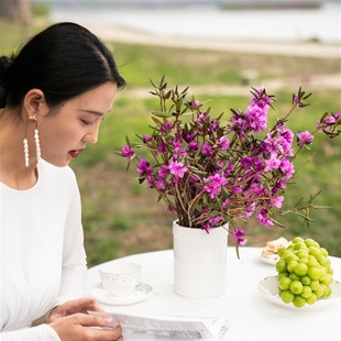 大兴安岭组培繁育杜鹃花干枝映山红达达香遇水开花新鲜