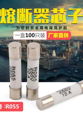 管保险丝R055 陶瓷保险管RO55 保险丝10a 5X25熔芯 R054 R057R058