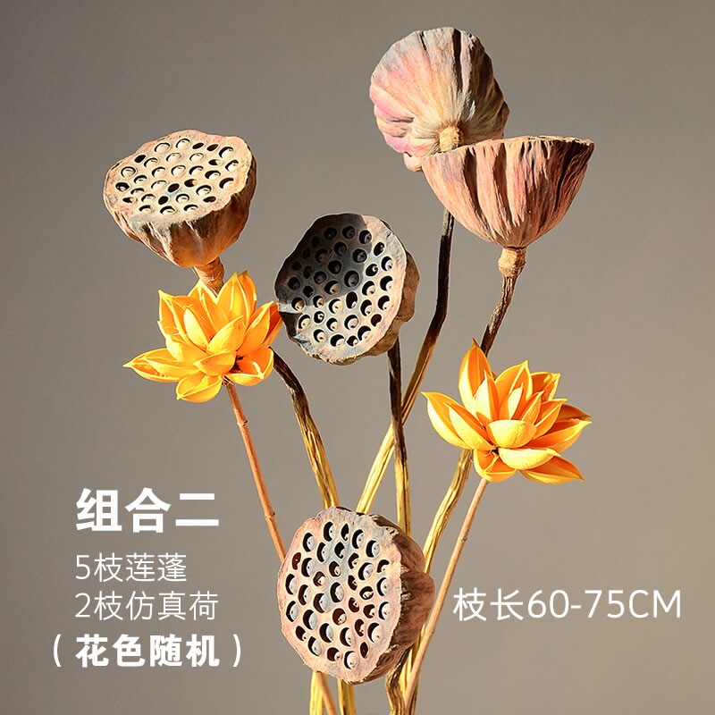 好货天然真杆莲蓬干花禅意风干莲藕仿真荷花莲花家居装饰摆件