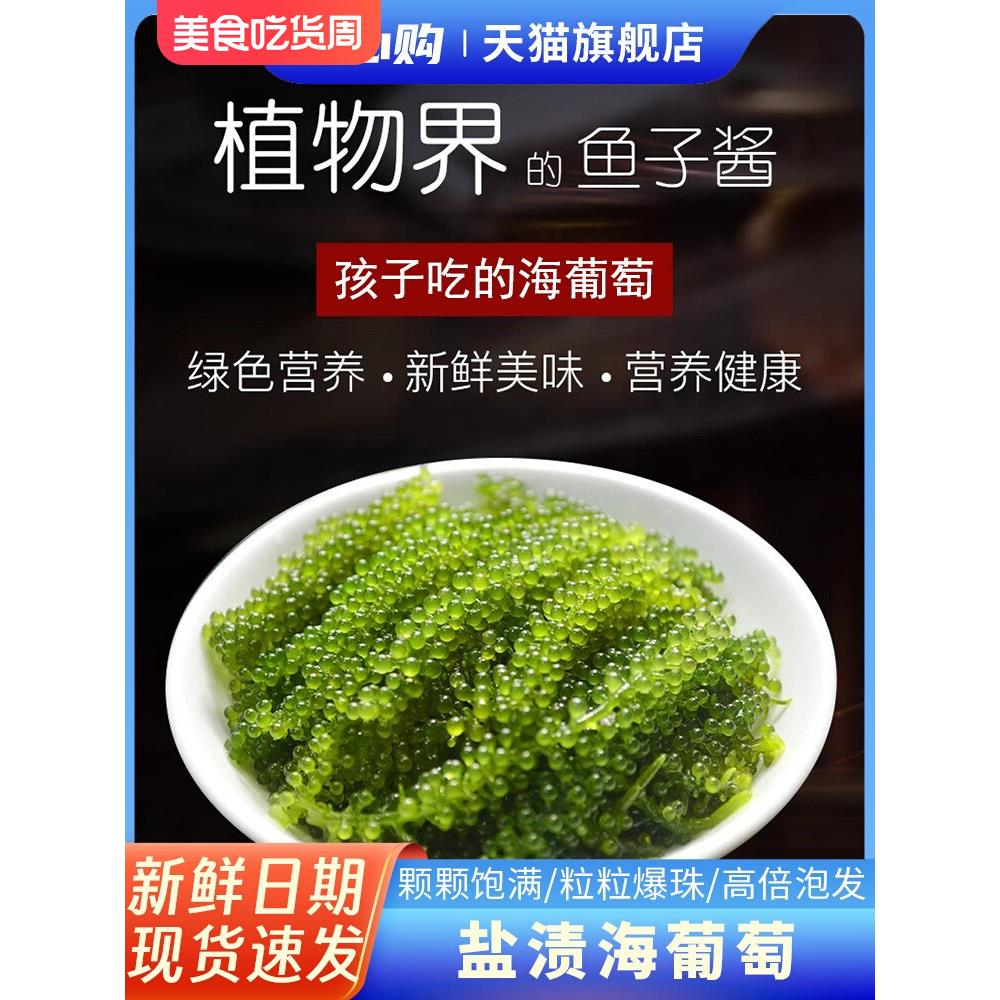 儿童海葡萄小孩吃的新鲜绿色鱼子酱即食泡发盐渍海葡萄官方旗舰店