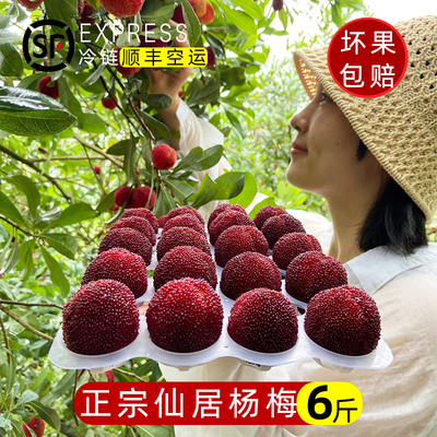 正宗仙居杨梅新鲜应季特甜孕妇水果高山整箱现摘现发东魁大杨梅