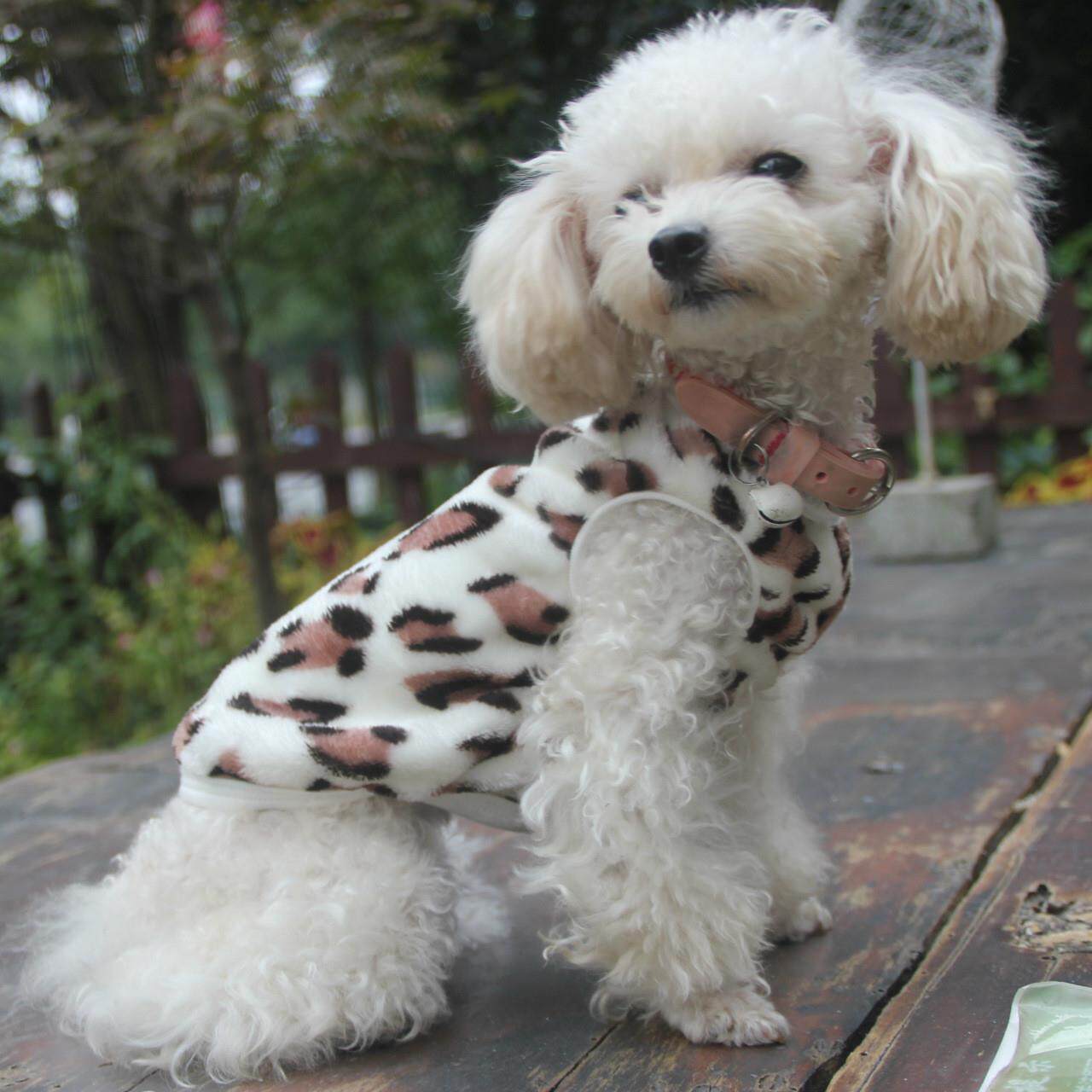 厂家跨境宠物秋冬服装加厚保暖泰迪套头毛绒背心打底