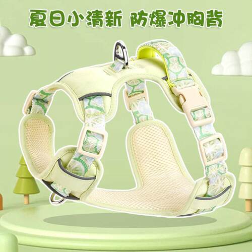 狗狗牵引绳夏季背心式宠物背带透气狗绳大中小型犬柯基比熊外出链