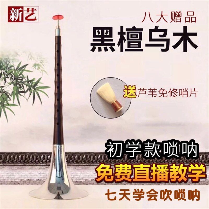 极速演奏专业乌木唢呐乐器全套d调D调初学者入门小号锁呐哨片配件