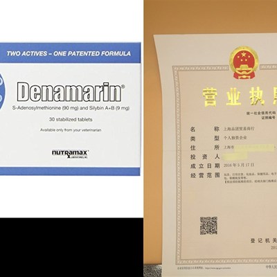 Nutramax Denamarin Tablets for Cats and Dogs