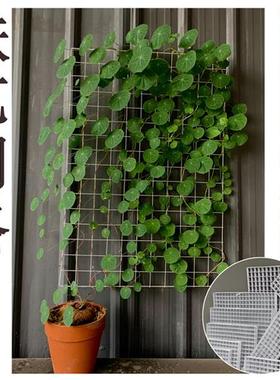 山乌龟白色爬藤架铁艺网格北欧风爬藤网室内软装藤蔓植物爬墙网子